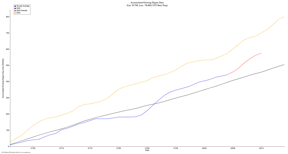 The graph tracks accumulated growing degree days (GDD) over time, comparing data from 2023, a 30-year average, and a forecast for 2024, indicating how much heat accumulation (a measure used to predict plant development rates) has occurred compared to historical averages.