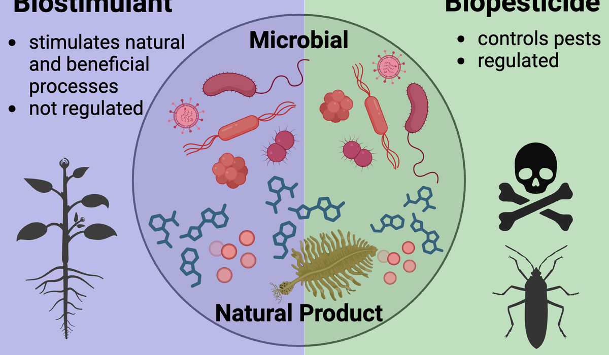 Agricultural Biologicals - Soil Management | NC State Extension