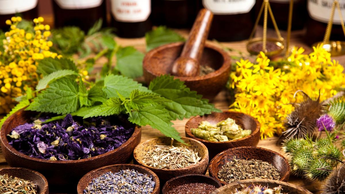 Plants and dried berries