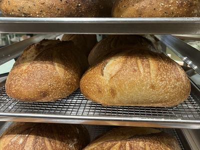 Sourdough loaves cooling on metal bakery racks