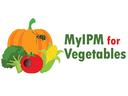 Pumpkin with beetle, corn, tomato with hole, broccoli; text "MyIPM for Vegetables"