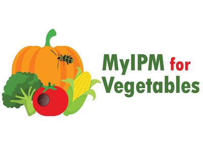Pumpkin with beetle, corn, tomato with hole, broccoli; text "MyIPM for Vegetables"