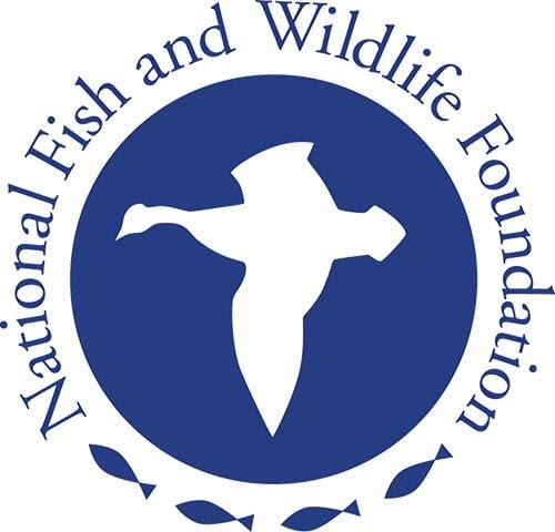 National Fish and Wildlife Foundation