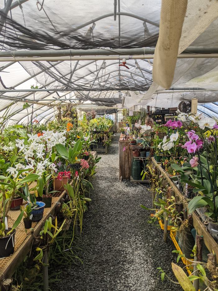 A greenhouse with flowers.