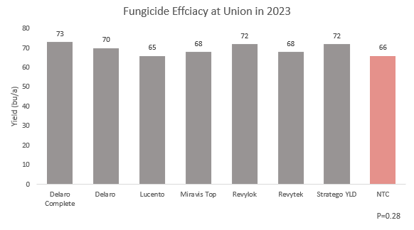 Figure 10. Effect of a fungicide on yield at Union County trial.