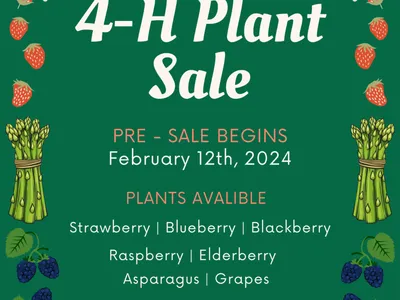 Henderson County 4-H Plant Sale — Pre-sale begins February 12th, 2024; plants available