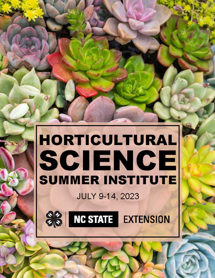 decorative program cover