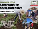 Summer 2024 farmworker donation drive poster; text "Give a little, help a lot"
