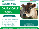 2024 Alamance County 4-H Dairy Calf Project