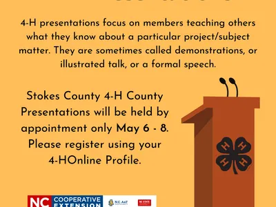 presentation