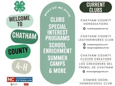 4-H info