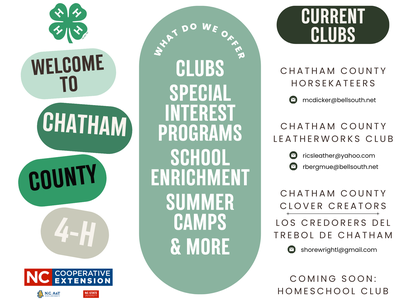 4-H info