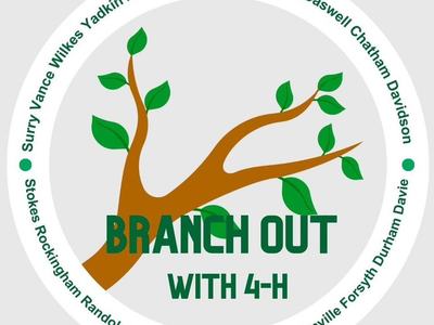 Save the date! Branch Out with 4-H NCD Teen retreat April 12-13, ages 13-18