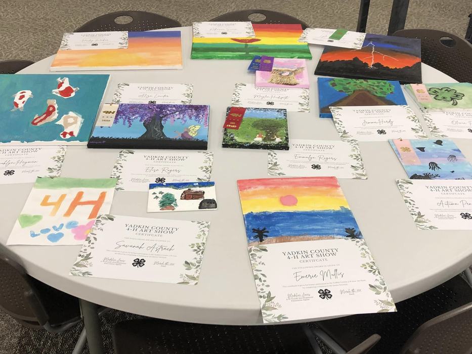 Junior Painting Entries