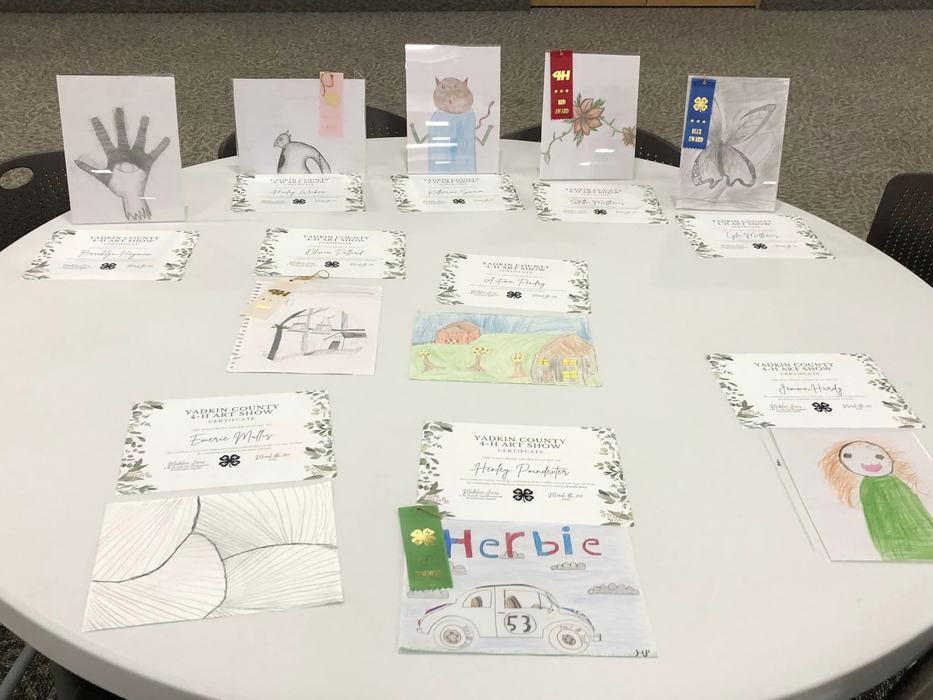 Junior Drawing Entries