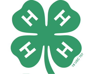 Green four-leaf clover with a white "H" on each leaf and small text "18 USC 707"
