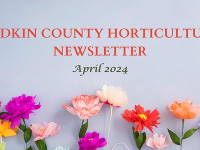 Yadkin County Horticulture Newsletter — April 2024, title above row of colorful flowers