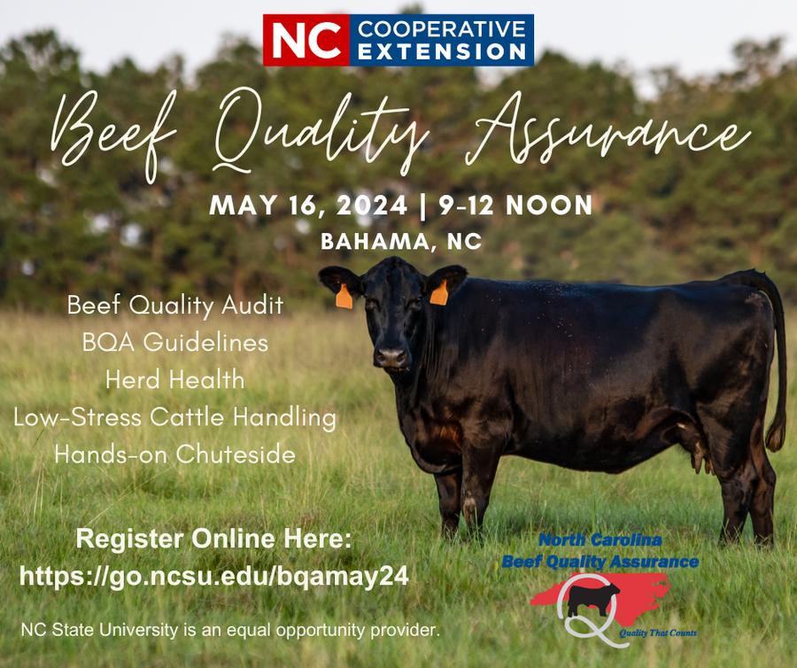 BQA flyer