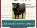 Bull management Flyer
