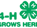 Green four-leaf clover with an "H" on each leaf and text "4-H GROWS HERE"