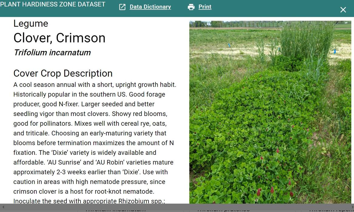 A screenshot of an article on Crimson Clover.