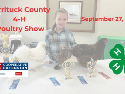 A girl with chickens and awards