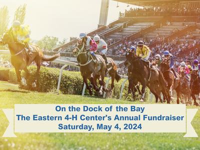 On the Dock of the Bay fundraiser