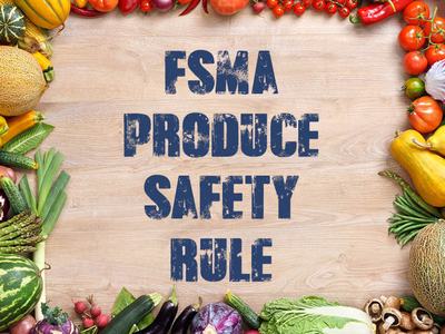 FSMA Produce Safety Rule centered on wooden background framed by fruits and vegetables