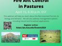 pictures of fire ants and information about the flier