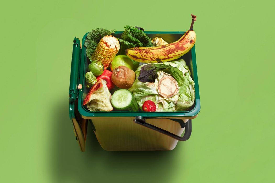 Garbage Bin filled with vegetable waste
