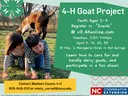 Colorful project info; Picture of boy and girl laughing, with baby goat on their back.