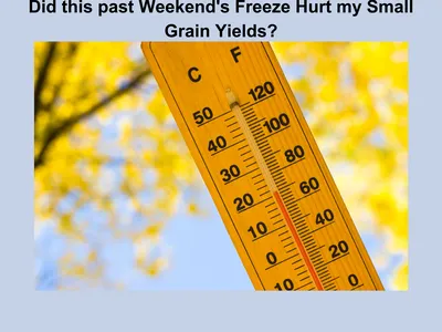 Yellow thermometer and yellow tree leaves