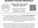 Muscadine Grape & Blueberry Pruning Workshop — Tuesday, March 26, 2024, 9:00 AM–12:00 PM