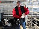 Person bottle-feeding a calf with ear tag "836" inside metal pens