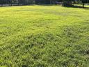 Pasture