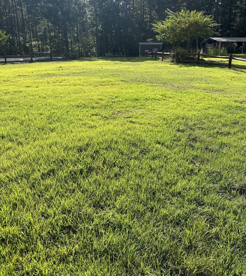 Pasture