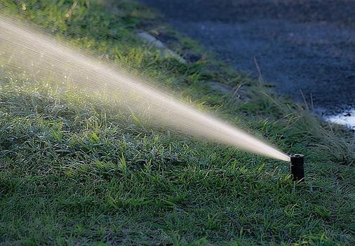 sprinkler head watering a section of lawn