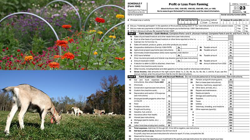 A collage of images featuring wildflowers, grazing goats and a profit or loss from farming tax form.