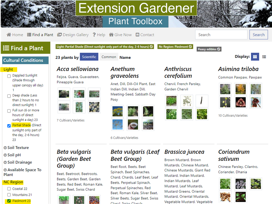 Image of find a plant screen with "partial Shade" and "Piedmont" hilighted