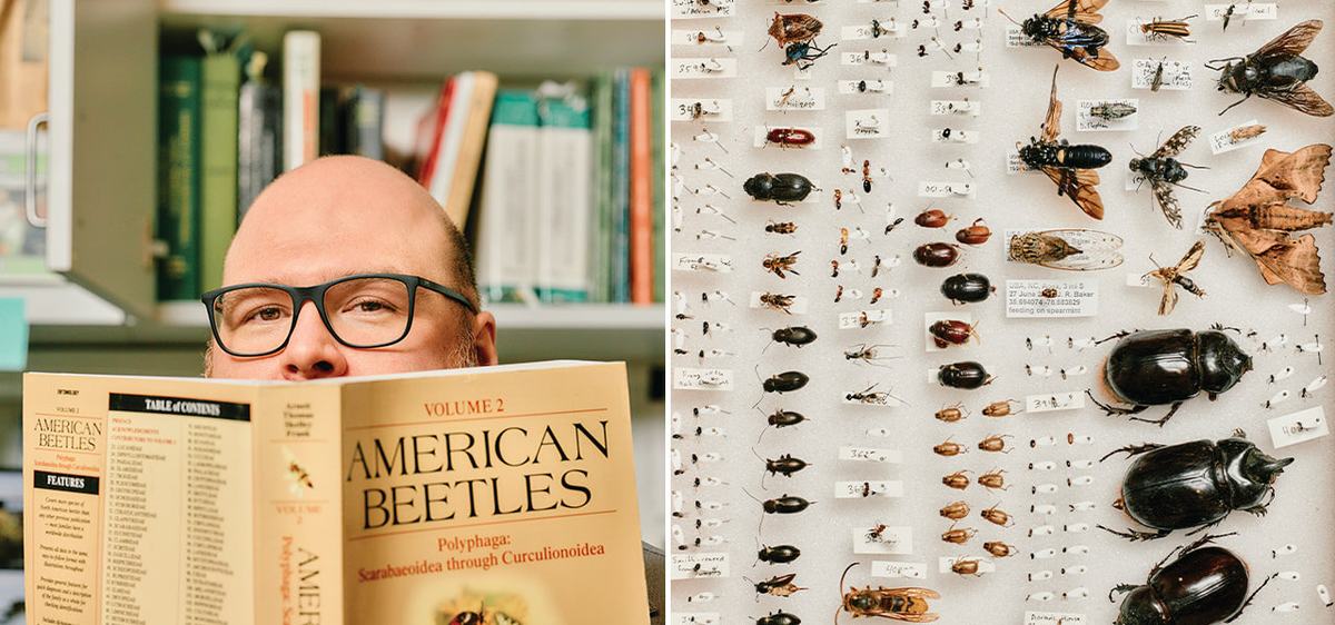 Photos from Our State article "The Bug Man of Raleigh"