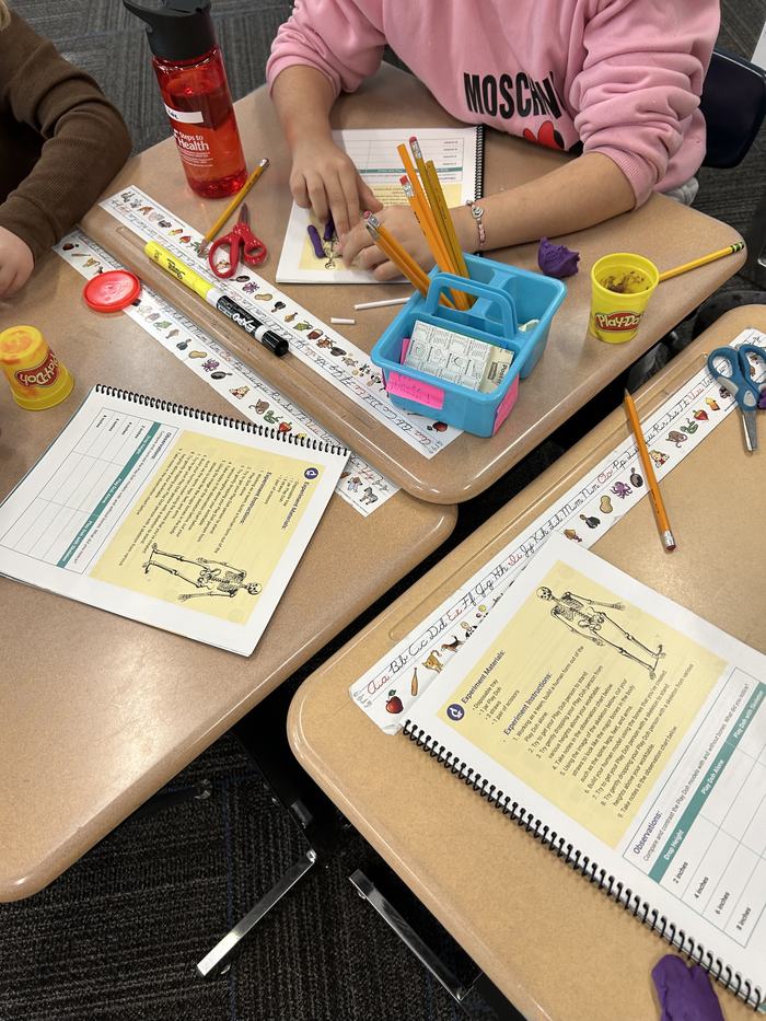students working on bone lesson