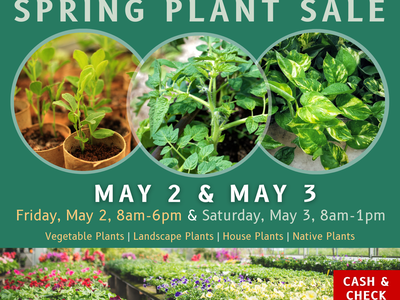 Montgomery County Master Gardener Spring Plant Sale — May 2 & May 3; 203 W. Main St, Troy NC