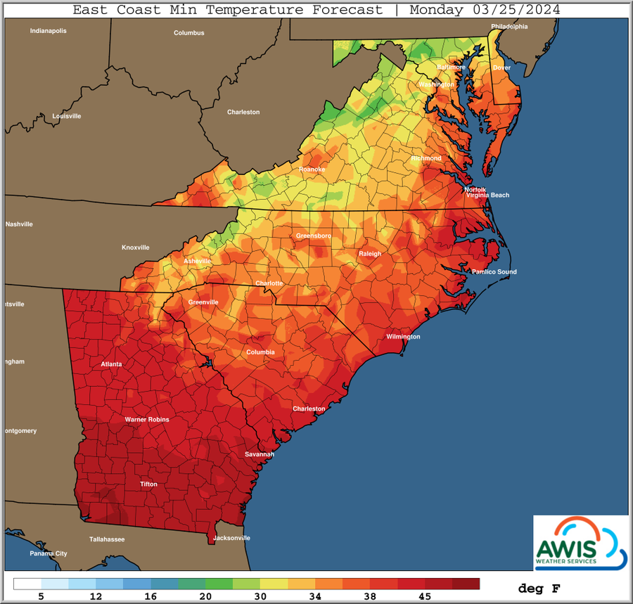 East Coast Min Temperature Forecast, Monday 03/25/2024