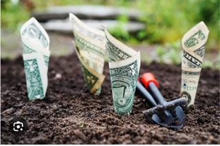 U.S. dollar bills planted upright in soil like seedlings next to a small hand fork