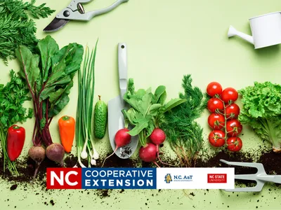 Organic Gardening