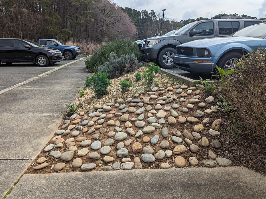 Ground-nesting bee habitat created in the Pollinator Paradise Garden in Pittsboro.