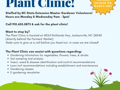 Plant clinic infographic, features a lawn with flowers. Text on graphic is mentioned in article.