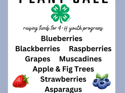 Plant Sale