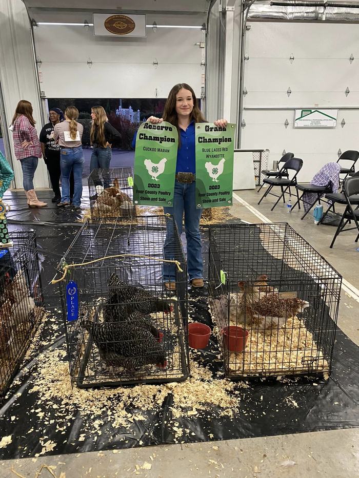 A girl holds 4-H Banners declaring her the Reserve champion and Grand champion.