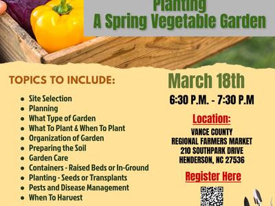 Planting a Spring Vegetable Garden